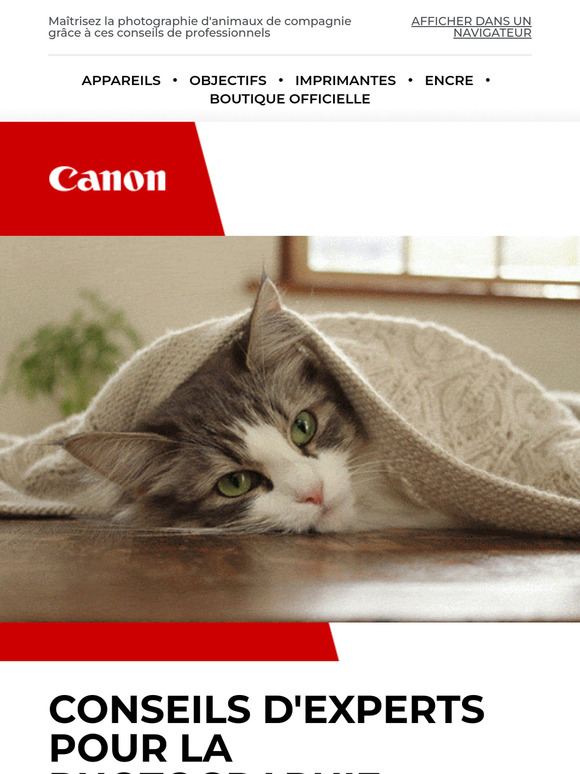 —, prenez les plus beaux clichés de vos animaux de compagnie