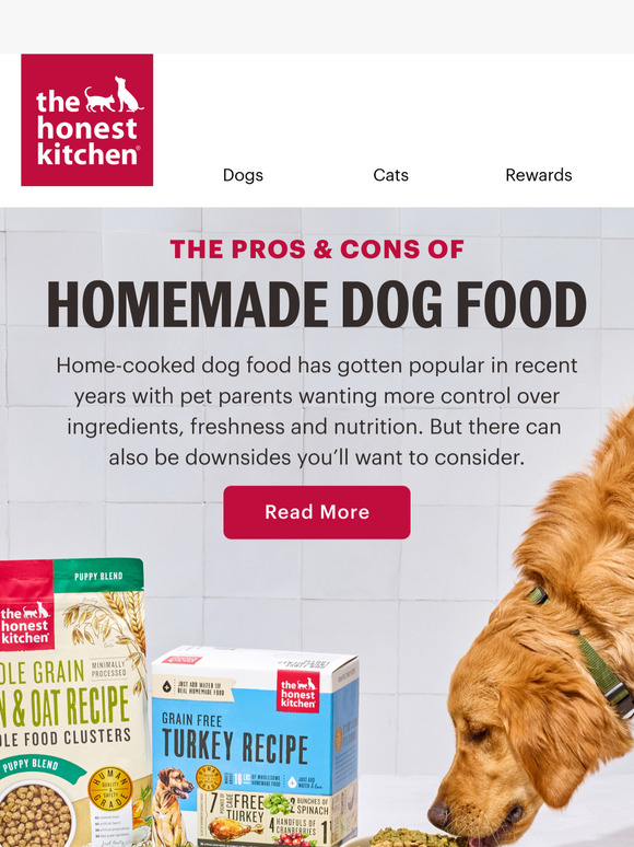 Should I Feed My Pet Homemade Dog Food? 👩‍🍳