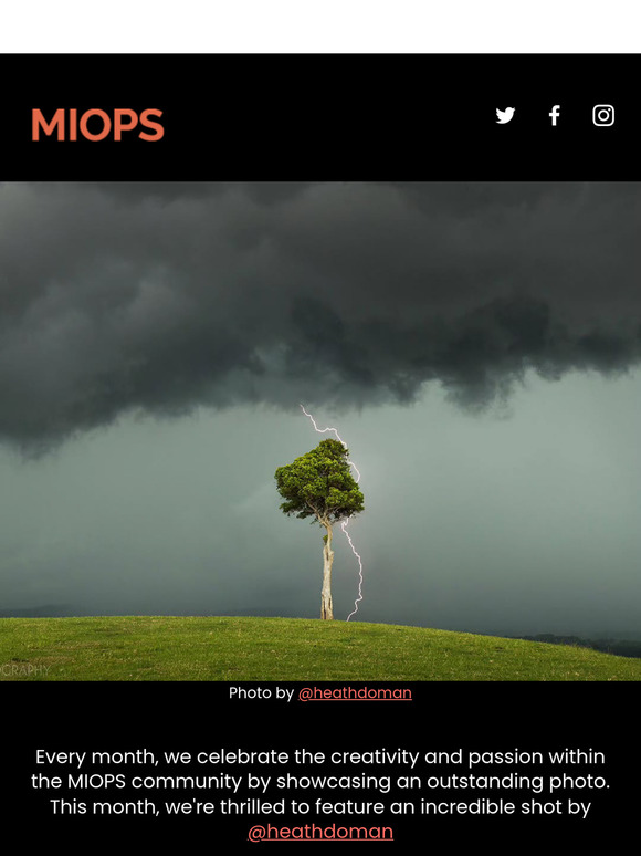 Photo of the Month: When Lightning Aligns with Nature ⚡🌳