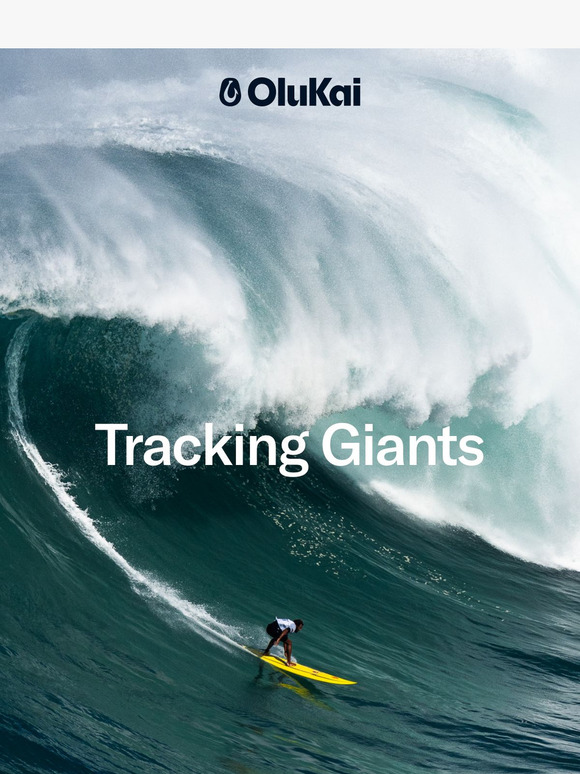 Found in the Details: Tracking Swells with Pro Surfer Eala Stewart