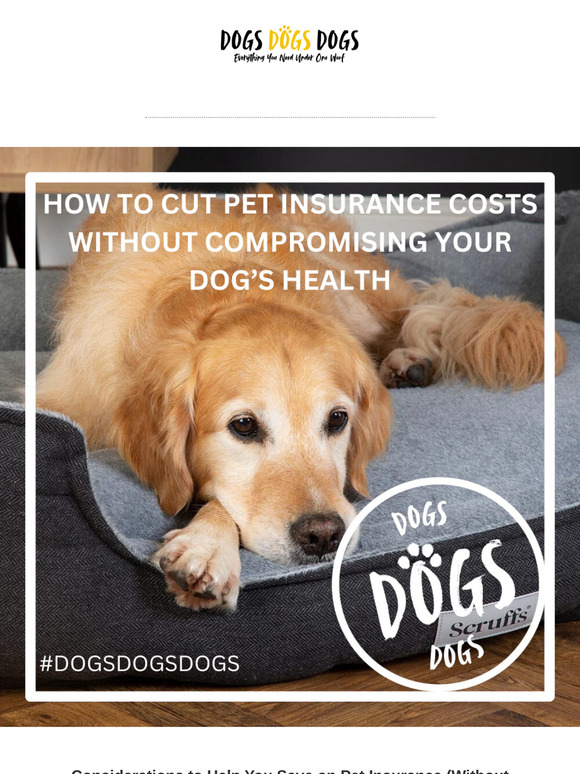 Cut Pet Insurance Costs Without Risking Your Dog’s Health!