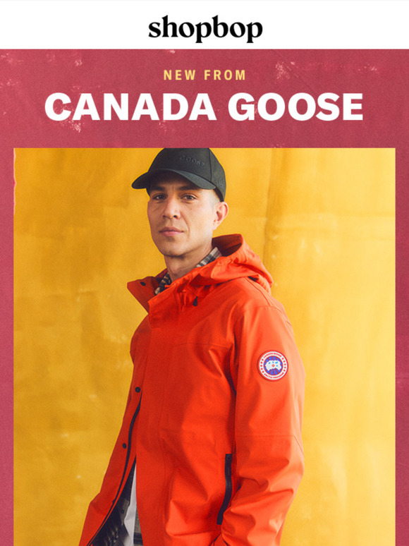 Forecast says: Canada Goose