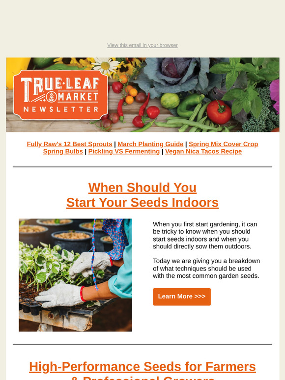 🌿 Not Sure When to Start Seeds? We’ve Got You Covered! | TLM Newsletter
