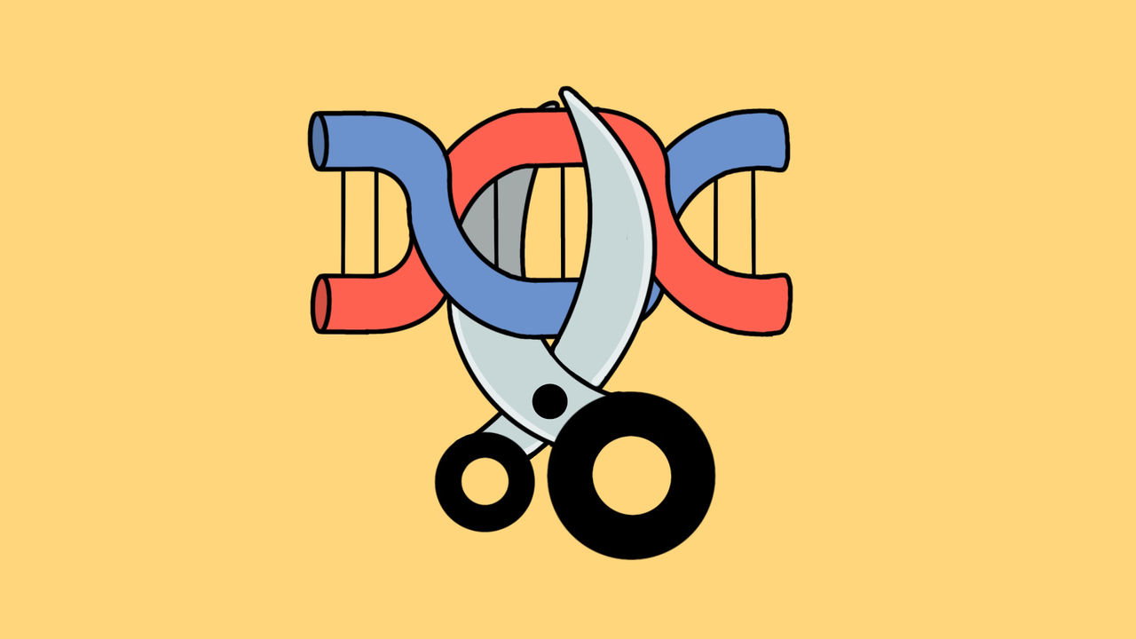 The image represents gene editing, with a DNA helix and scissors symbolizing CRISPR technology used to cut and modify gene