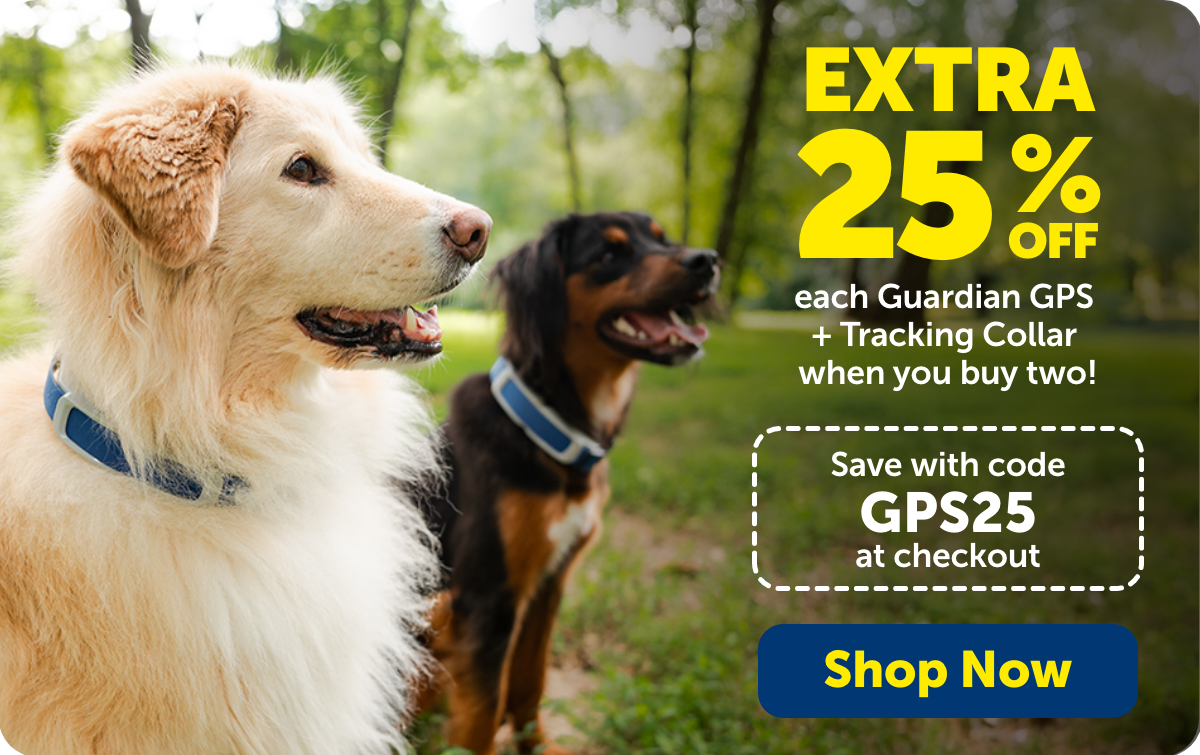 Extra 25% off each Guardian GPS + Tracking Collar when you buy two! Use code GPS25.