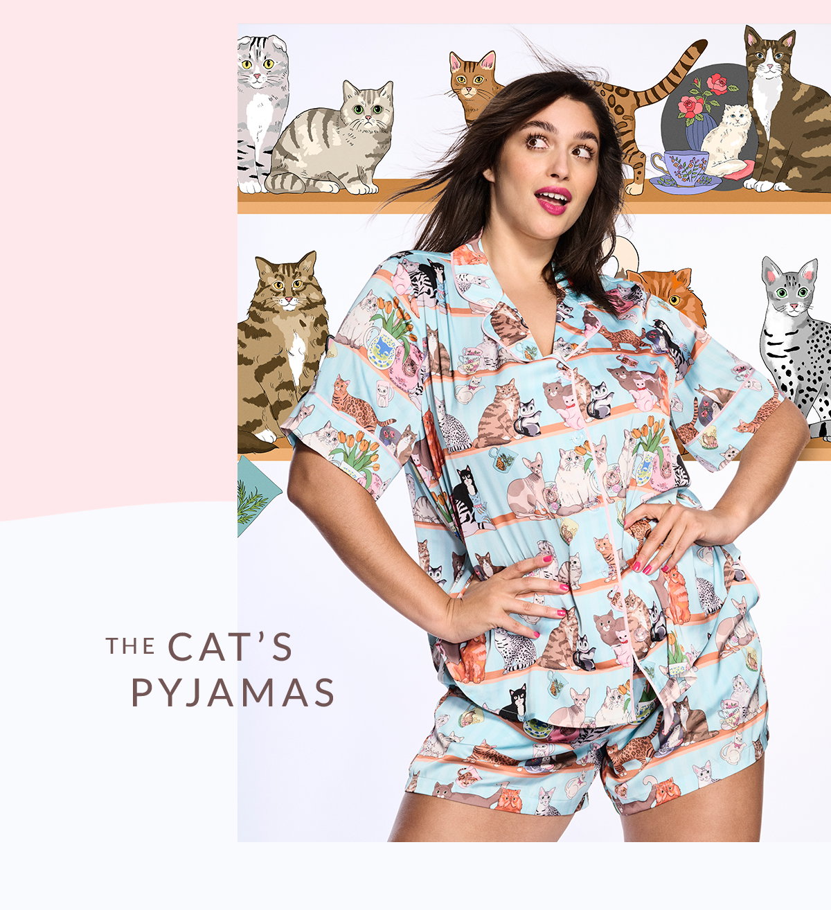 Peter Alexander: New special edition prints - these are the cat's ...