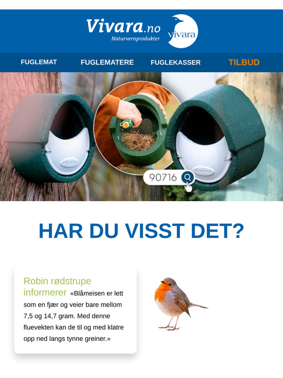 🐦 Det beste lyet for fugler