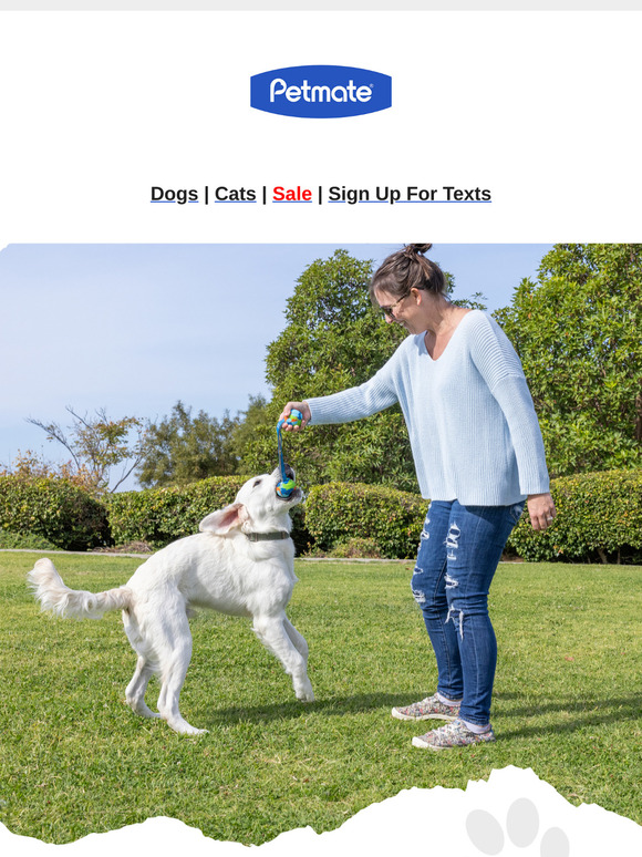 Celebrate Dog Training Education Month with Us, !