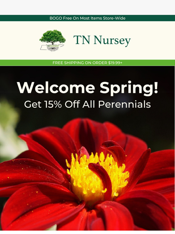 15% Off All Perennials – Bring Your Garden to Life!