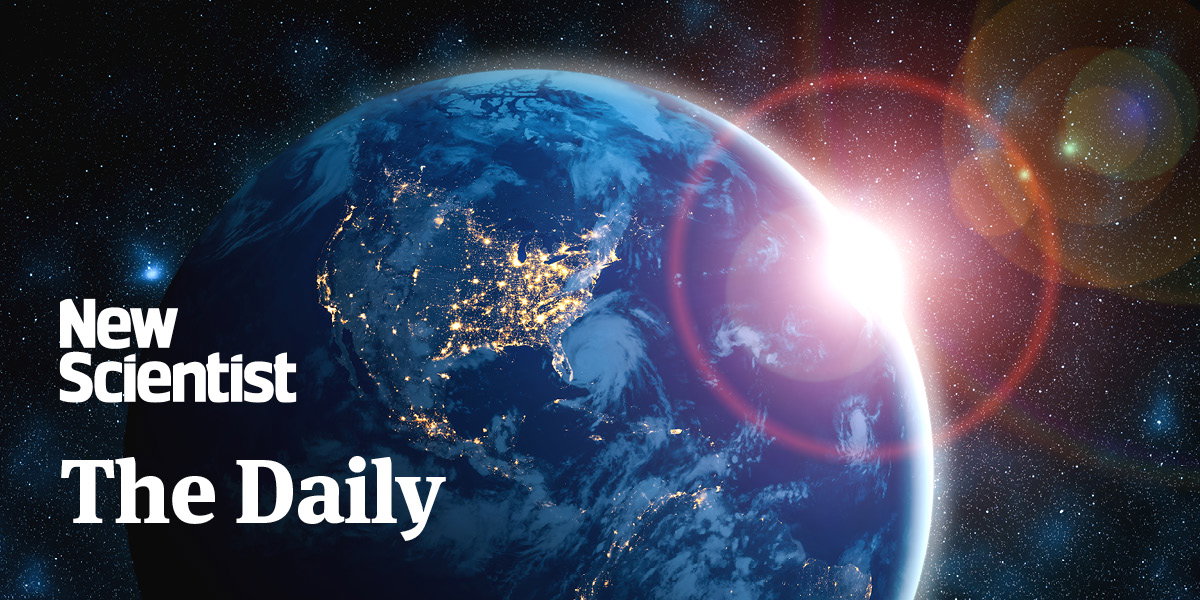 New Scientist's The Daily Newsletter
