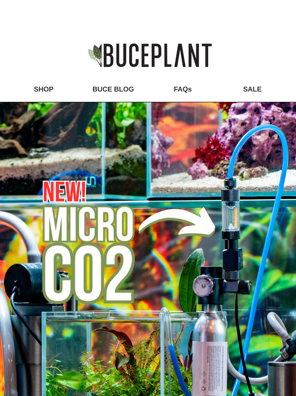 Must-Have Micro CO2 Kit for Aquariums! 🌿💦