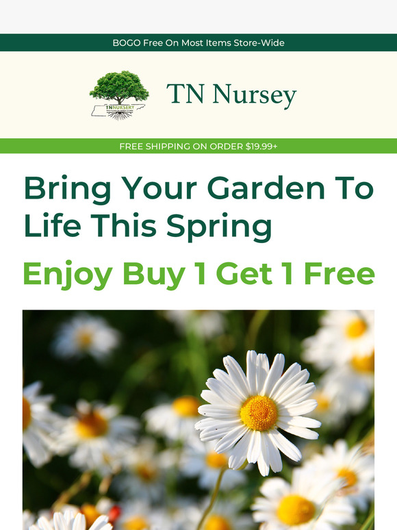Buy 1 Get 1 Free – Must-Have Spring Plants! 🌸