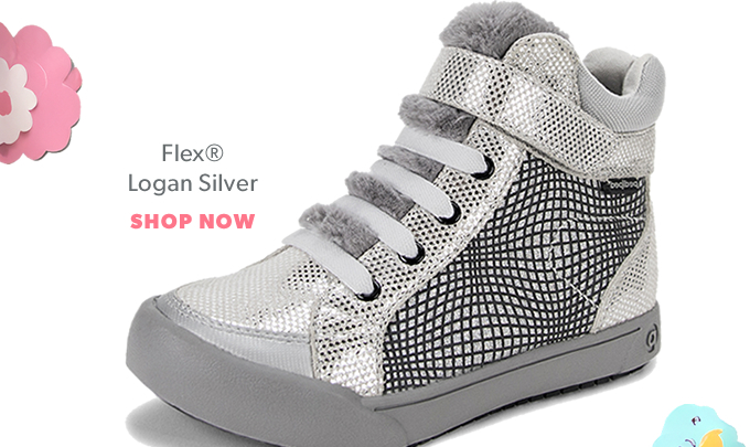Shop Logan Silver