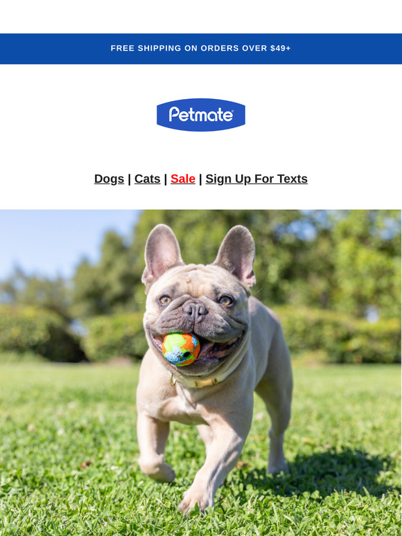 Discover Our Latest Pet Essentials