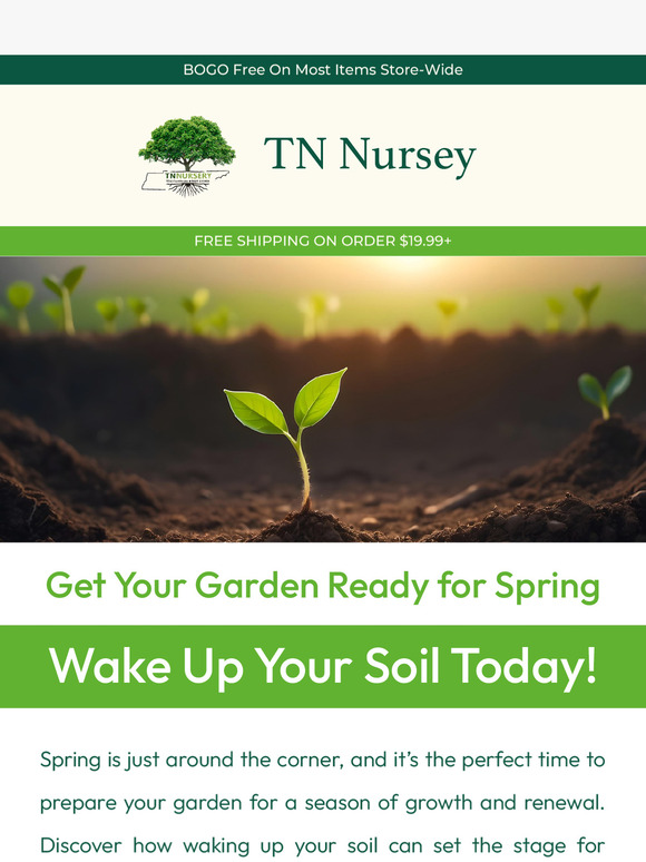 🌼 The Ultimate Spring Guide—Soil Health & Blooming Beauty!