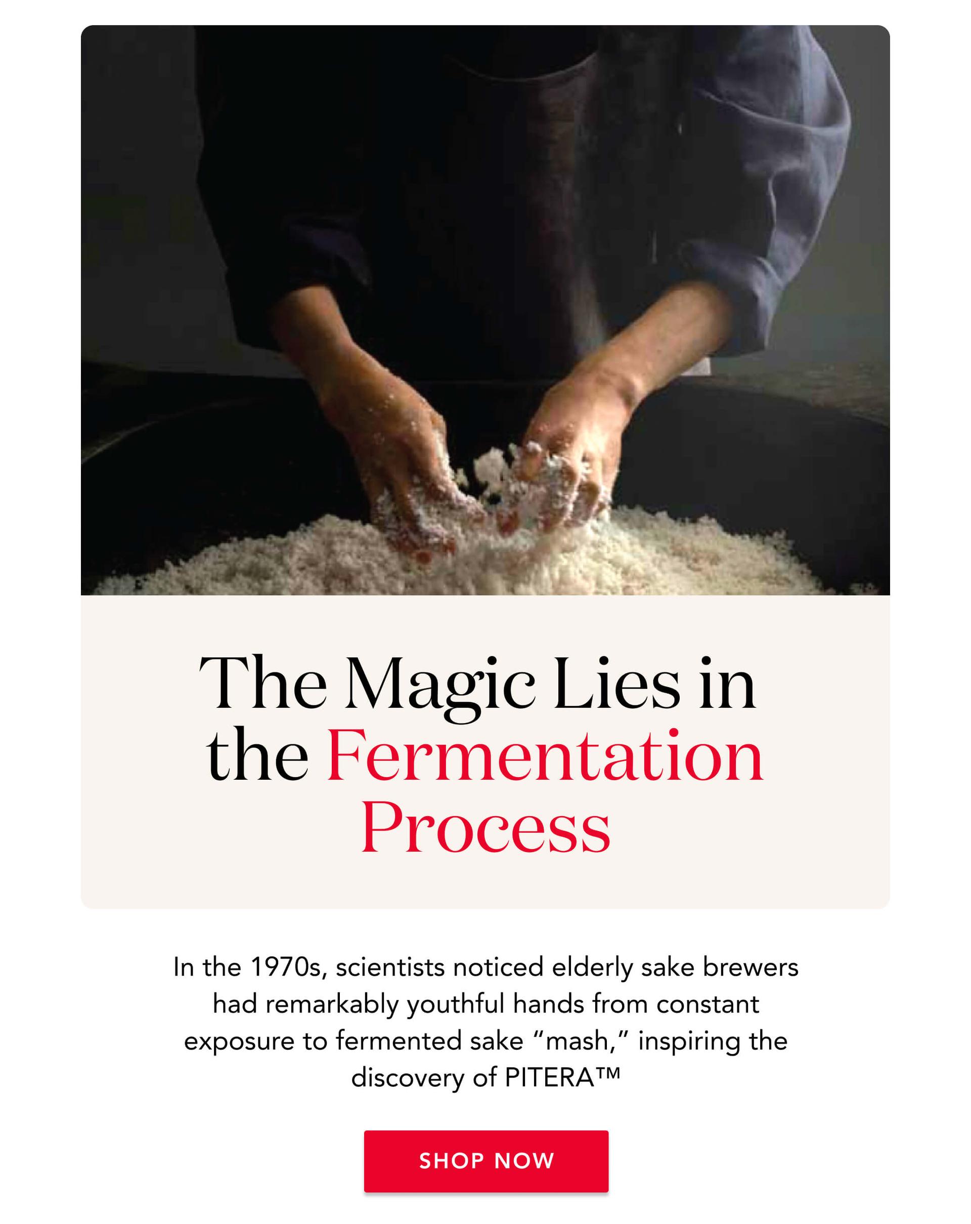 The Magic Lies in the Fermentation Process - In the 1970s, scientists noticed elderly sake brewers had remarkably youthful hands from constant exposure to fermented sake ''mash'', inspiring the discovery of PITERA™️ - Shop Now