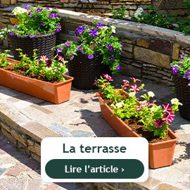 Que faire au balcon et à la terrasse au mois de mars ?