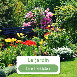 Que faire au jardin en mars ?