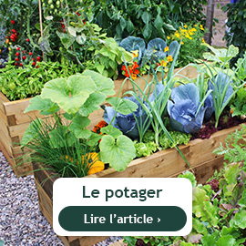 Que faire au potager en mars ?