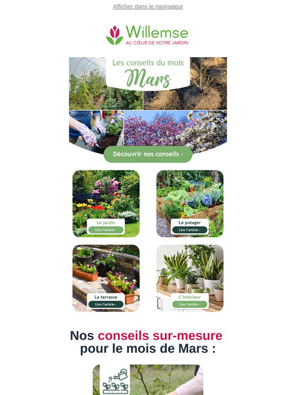 Willemse Que faire au jardin en mars ? Suivez le guide ! Milled — free download
