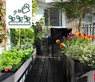  Comment végétaliser un balcon en exposition mixte ?