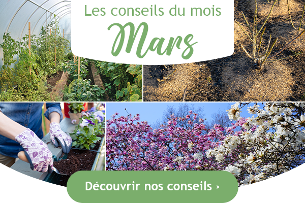 Les conseils jardin pour le mois de Mars