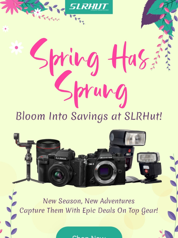 🌸 Spring Whispers: Fresh Deals for a Fresh Start!