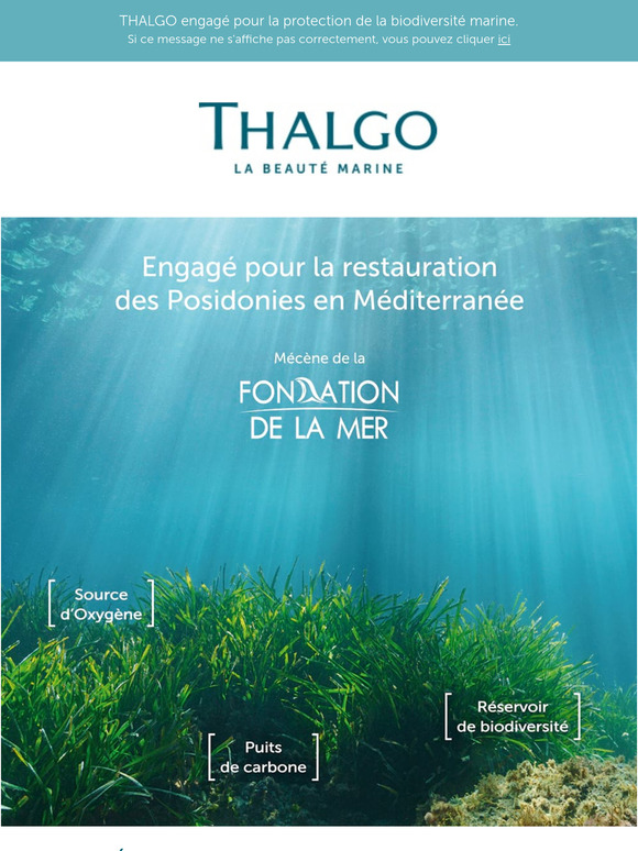 Journée Mondiale des Herbiers Marins