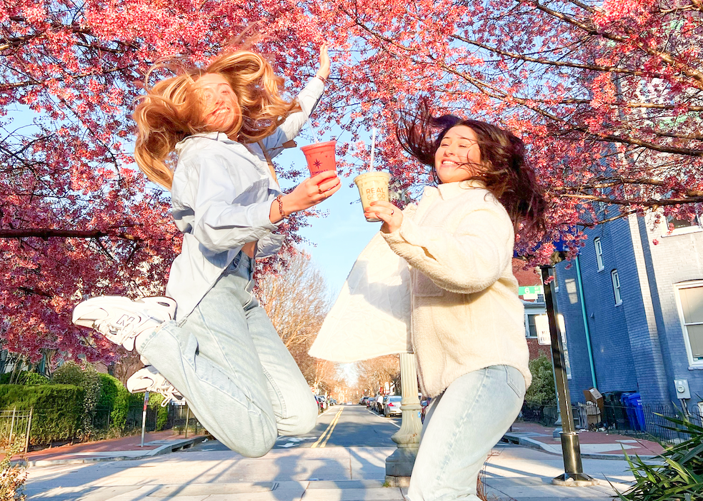Ultimate Guide to Spring in DC
