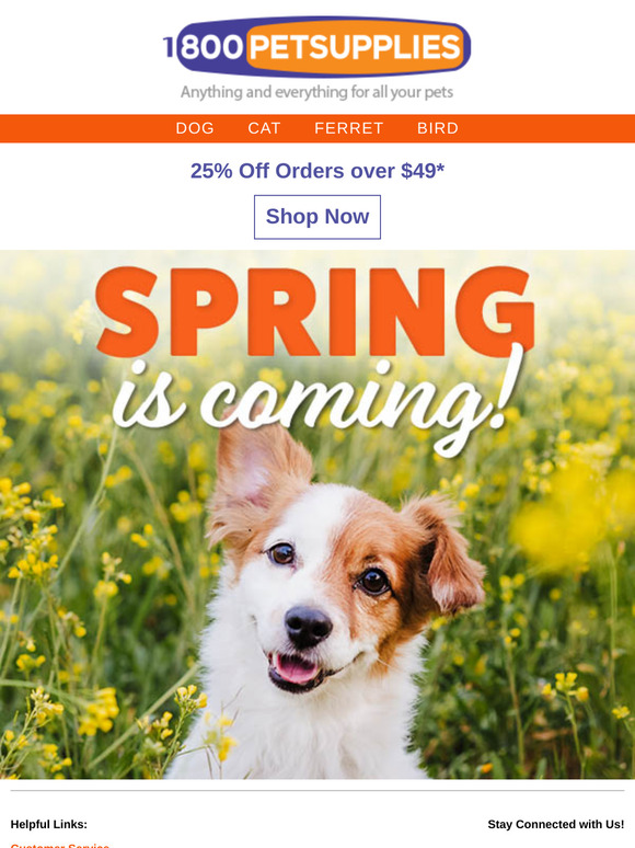 It's Fresh, It's Exciting! 25% Off Your Order