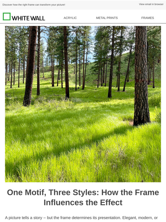 One Motif, Three Styles.