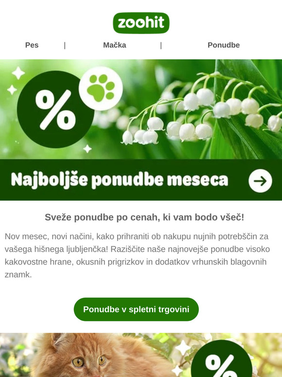 Najboljše ponudbe tega meseca so tukaj!