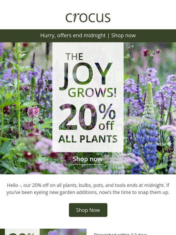 Final Hours | 20% Off Ends Tonight