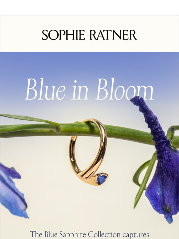 Winter Blues in Bloom