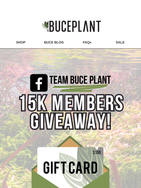 You're Invited: Top Aquascaper Group + GIVEAWAY! 🌱📣
