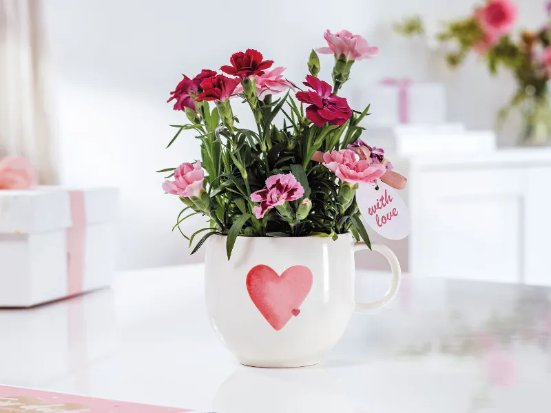 Villeroy & Boch