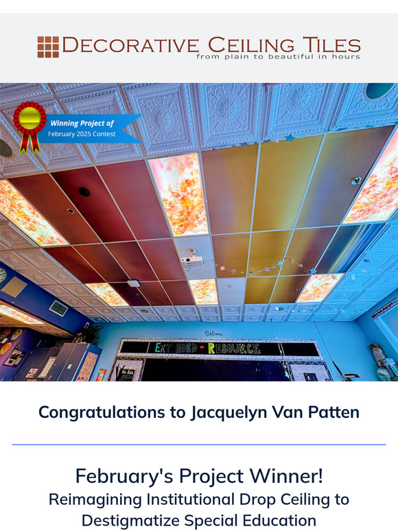 February's Winning Project!🥇