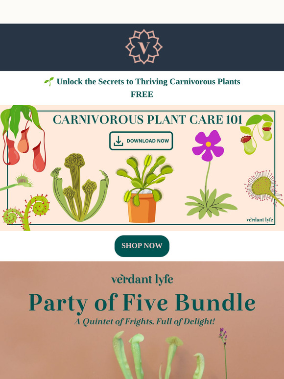 🦷 The Ultimate Carnivorous Plant Bundle – A Savage Deal You Can't Miss! 🌿