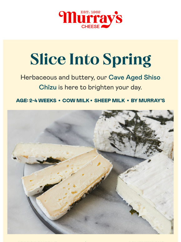 Hello, Spring: Shiso Chizu Is Back
