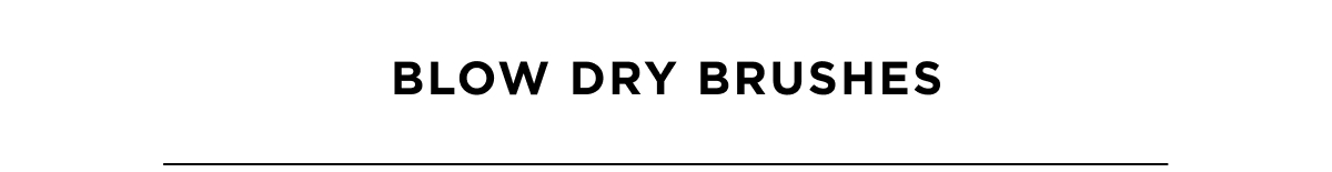 blow dry brushes