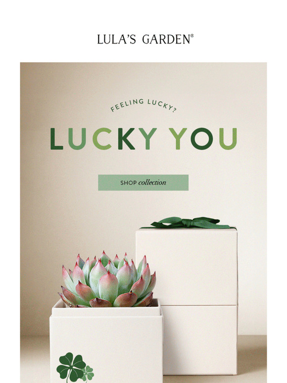 Bring St. Patrick's Day Luck With Green Gifts! 💚
