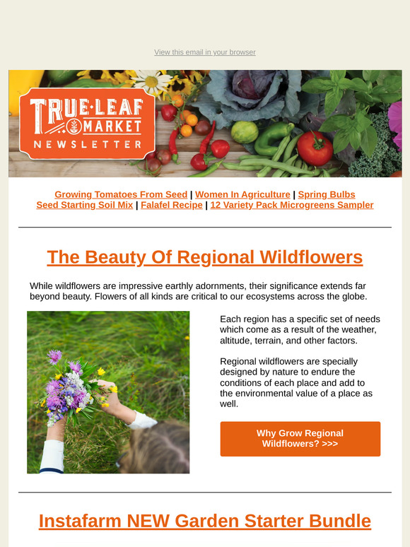 🌸 Regional Wildflowers: Nature’s Custom Fit for Your Garden | TLM Newsletter