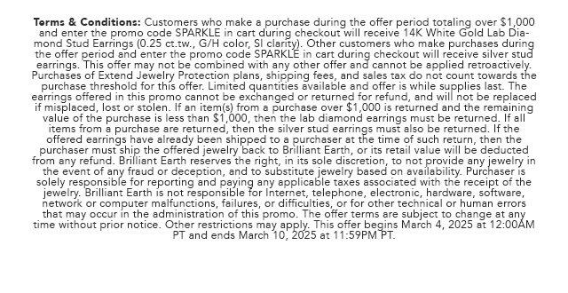 Promo Terms