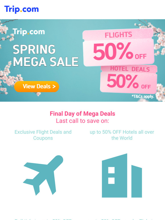 Final Chance to Save 50%! ⏰