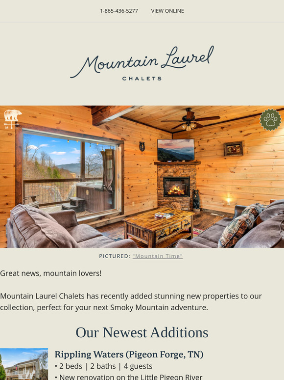 Discover Our Newest Smoky Mountain Getaways! ✨