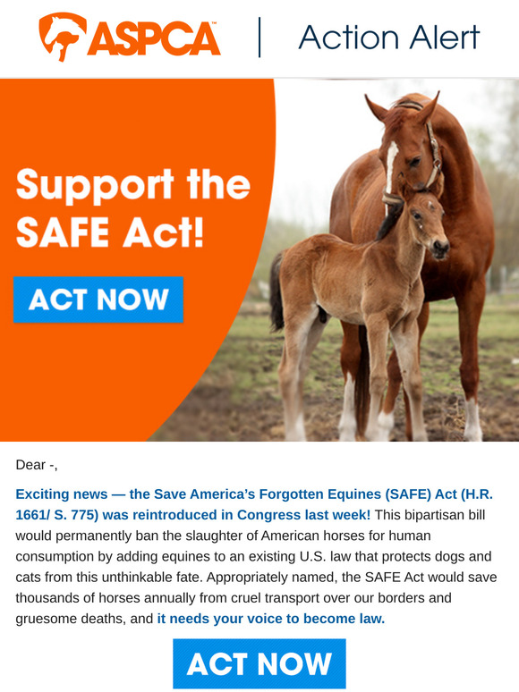 USA: Help Us Ban Horse Slaughter for Good!