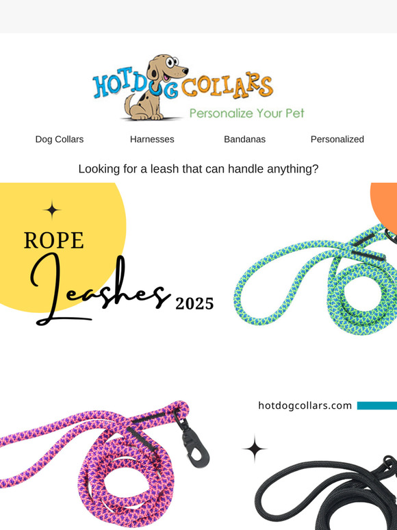 Durability Meets Style—Meet Your New Favorite Leash