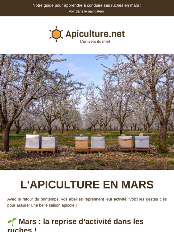 👀 Apiculture en mars : Que faire au rucher ce mois-ci ?