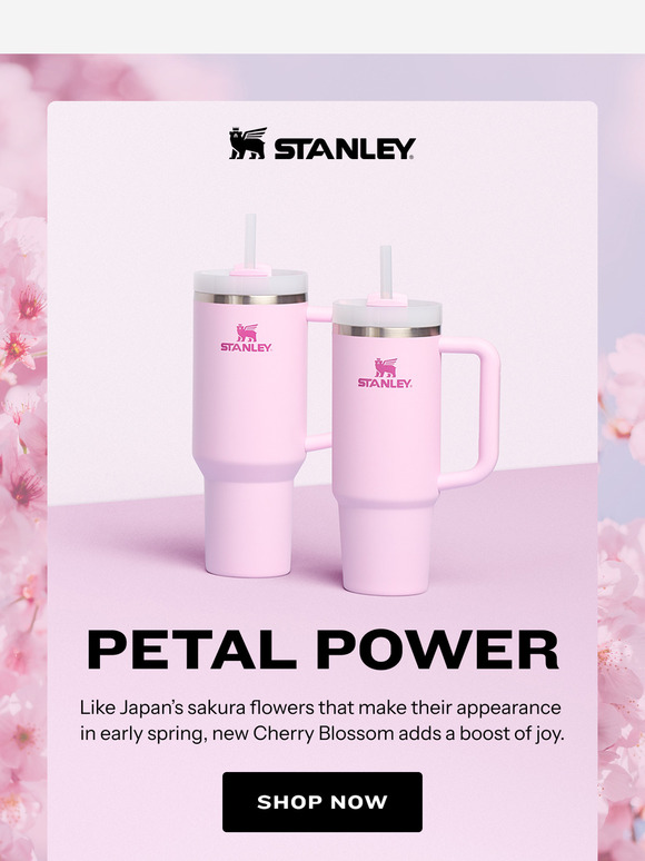 NEW Cherry Blossom