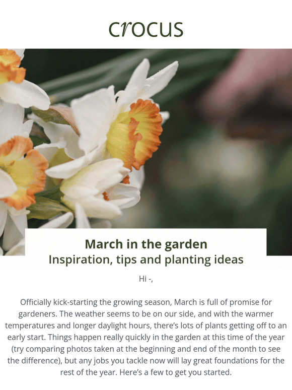Get your garden ready